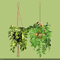 Lush Green Hanging Potted Plants With Decorative Holders And Cascading Leaves