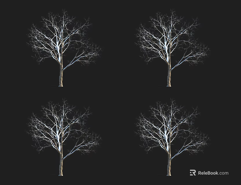 Four Isolated Leafless Trees With Bare Branches On Black Background 3d model 