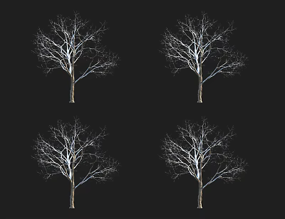 Four Isolated Leafless Trees With Bare Branches On Black Background 3d model