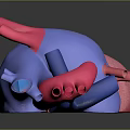 Detailed Human Heart Anatomical 3D Model with Colorful Ventricles Atria and Blood Vessels
