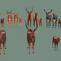 Group of Deer with Various Sizes Antlers and Fawns in Natural Scene