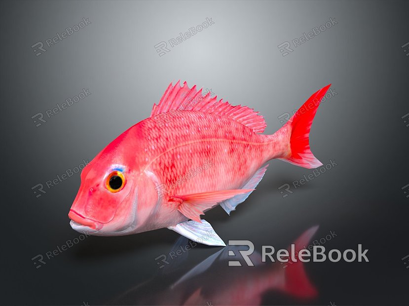 Catfish Carp Sturgeon Bass Freshwater Fish Various Carp Grass Carp Crucian Carp model