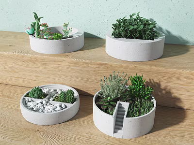 Bonsai Potted Plants In Concrete Planters On Wooden Steps With Green Foliage 3d model