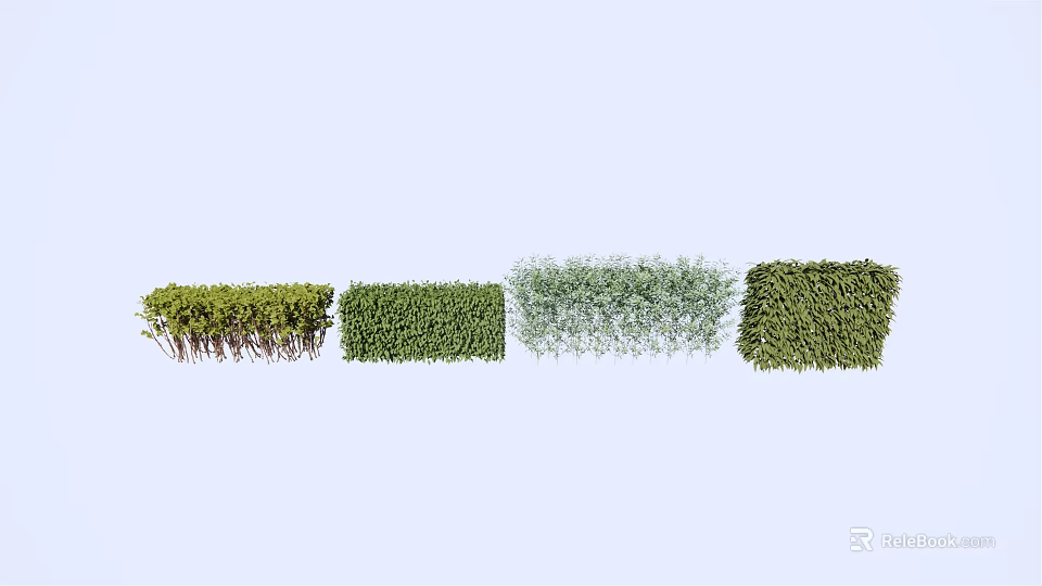 Various Shrub Types with Lush Green Foliage and Distinct Growth Habits 3d model 