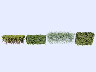 Various Shrub Types with Lush Green Foliage and Distinct Growth Habits 3d model