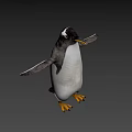 Flying Animal Penguin with Yellow Beak Black and White Feathers Spread Wings in Gray Background