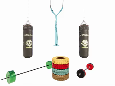 Essential Sports Equipment Featuring Punching Bags Blue Strap Colored Weights and Barbell 3d model
