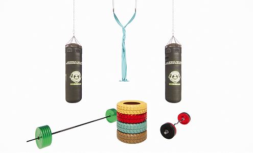 modern fitness equipment boxing sandbag tire dumbbell 3d model