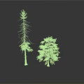 Tall And Short Trees With Green Leaves And Brown Trunks On White Background