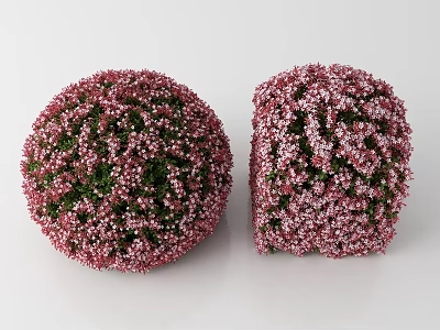 Modern Flowers 3d model