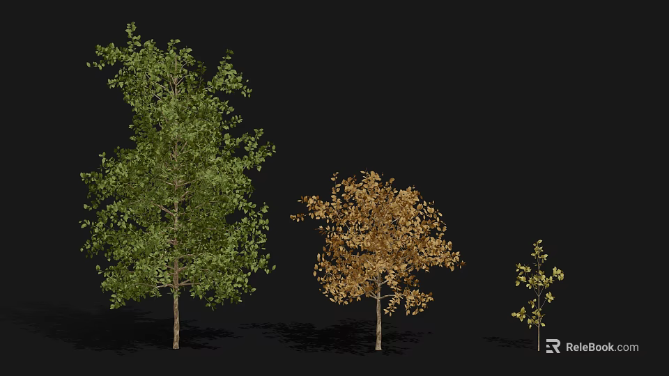 Tall Leafy Trees With Green And Golden Foliage In Varied Sizes 3d model 