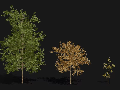 Tall Leafy Trees With Green And Golden Foliage In Varied Sizes 3d model