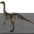 Prehistoric Reptile Dinosaur With Long Neck Standing On Gravel Ground