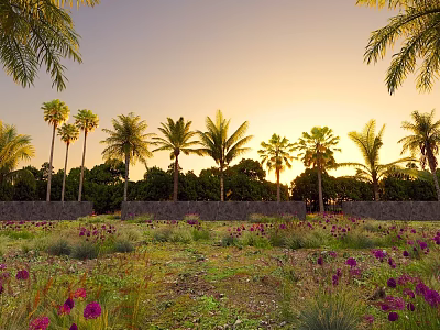 Tall Palm Trees in Sunset Field With Purple Flowers and Lush Green Grass 3d model