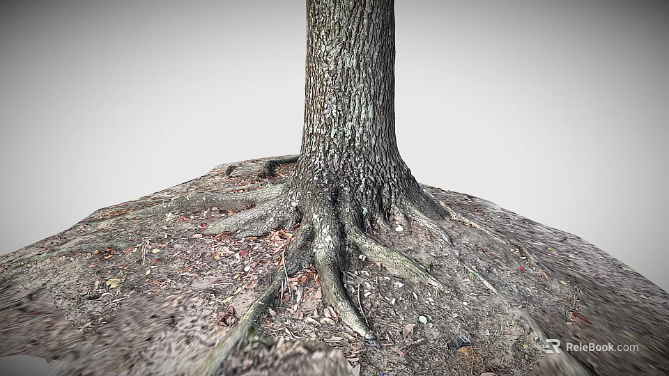 Exposed Wooden Tree Roots And Trunk With Natural Texture On Soil And Leaves 3d model 