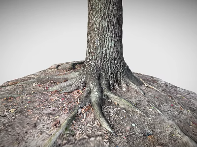 Exposed Wooden Tree Roots And Trunk With Natural Texture On Soil And Leaves 3d model