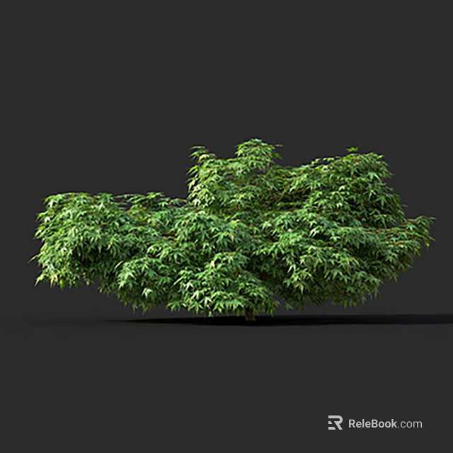 Lush Green Tree With Dense Vibrant Leaves And Full Canopy Isolated On Dark Background 3d model 