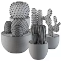Various Types of Potted Cactus Plants in Decorative Ceramic Pots for Indoor Decoration