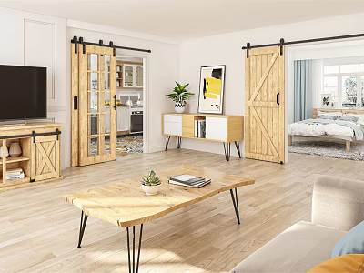 Modern Open Living Room Interior With Wooden Sliding Barn Doors Coffee Table And Sofa 3d model