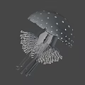 Transparent Jellyfish With White Spots And Long Tentacles On Black Background