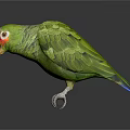 Green Parrot With Red Eye Patch And Vibrant Feathers Perched On Surface 3d model