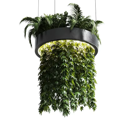 Elegant Modern Hanging Plant Chandelier With Circular Design And Lush Green Leaves 3d model