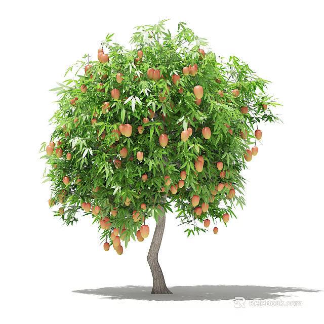 Healthy Fruit Bearing Arbor With Lush Green Leaves And Ripe Orange Fruits 3d model 