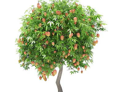 Healthy Fruit Bearing Arbor With Lush Green Leaves And Ripe Orange Fruits 3d model