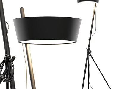 Modern Black Gold Floor Lamp With Tripod Base And Stylish Drum Shade Design 3d model