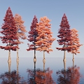 Metasequoia autumn and winter plants 3d model