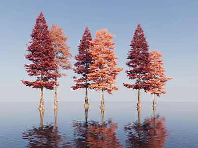 Trees with Slender Trunks and Red Orange Leaves Against Blue Sky and Water Reflections 3d model