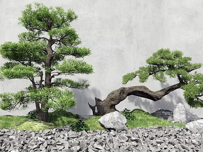 Pine Trees With Straight Trunk And Curved Branch By Gray Wall With Grass Stones Gravel 3d model