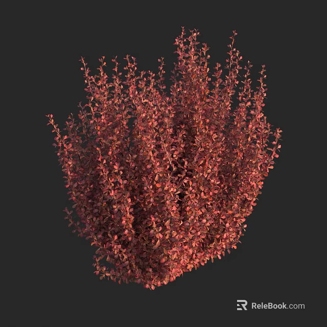 Bushy Red Shrub Featuring Lush Dense Foliage And Vibrant Leaf Tones 3d model 