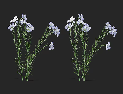 White And Light Purple Flowers With Green Stems And Leaves In Bouquet 3d model