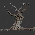 Natural Wooden Root Sculpture With Stone Textured Base And Rustic Ground Design 3d model