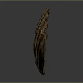 Large Brown Fan Shaped Shell With Textured Surface And Natural Patterns