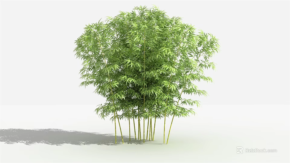 Lush Green Bamboo Plant With Dense Foliage And Tall Clumping Stems 3d model 
