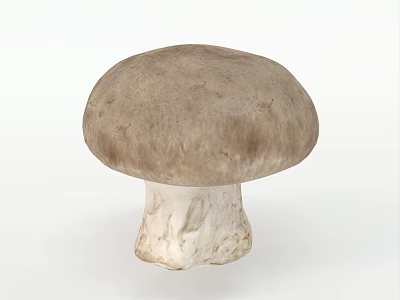 Fresh Brown Cap Mushroom With White Stem Isolated On White Background 3d model