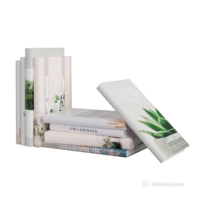 Stacked Lifestyle Books And Magazines With Plant Patterns And Aloe Leaf Covers 3d model 