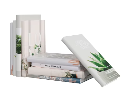 Stacked Lifestyle Books And Magazines With Plant Patterns And Aloe Leaf Covers 3d model