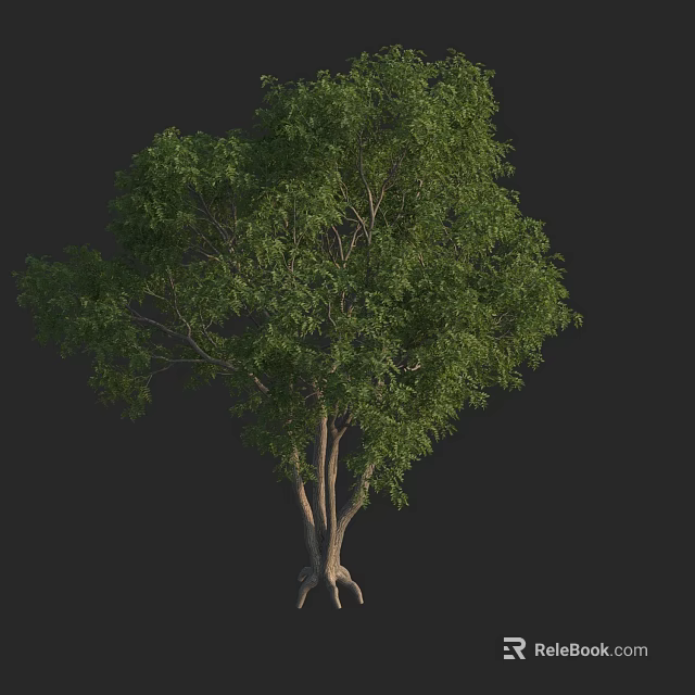 Lush Arbor With Green Foliage Multiple Trunks And Exposed Root System 3d model