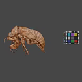 Detailed Vintage Beetle Specimen With Colorful Rubik's Cube On Gray Background