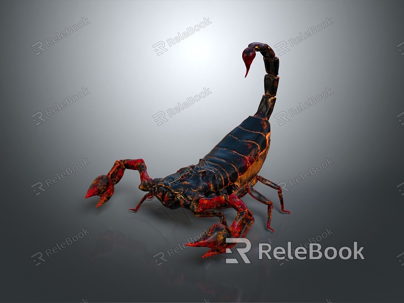 Five Striped Scorpion Karoleni Scorpion Italian Scorpion Mexican Scorpion Soves Scorpion East Asian Piners Scorpion Scorpion Scorpion model