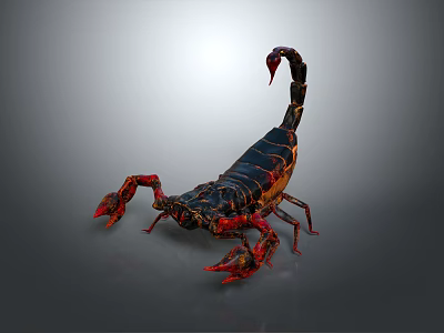 Vibrant Reptile Scorpion With Red Pincers Black Exoskeleton And Curved Stinger Tail 3d model