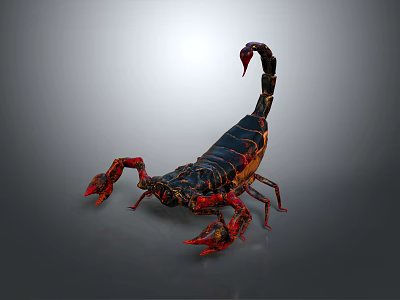 Five Striped Scorpion Karoleni Scorpion Italian Scorpion Mexican Scorpion Soves Scorpion East Asian Piners Scorpion 3d model