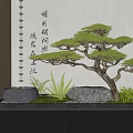 Indoor Landscape Design With Bonsai Pine Chinese Calligraphy Black Basin And Green Plants