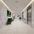 Modern Elevator Hallway With White Marble Walls Green Plants Terrazzo Floor And Ceiling Lights