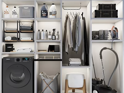 Organized Laundry Room With Washing Machine Detergent Bottles Hanging Clothes And Storage Shelves 3d model
