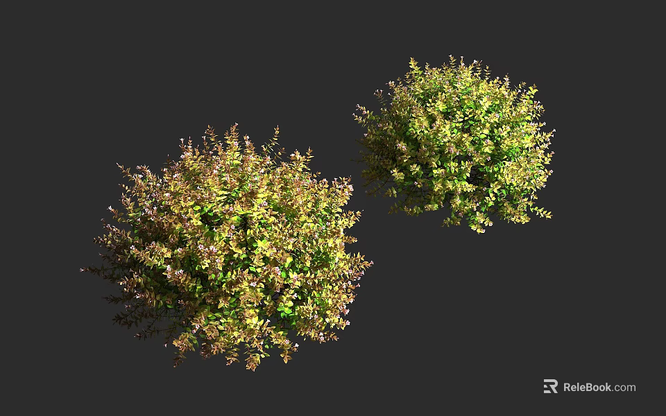 Ornamental Round Shaped Shrubs With Green And Brown Foliage For Garden Landscaping 3d model 