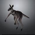 3D Rendered Kangaroo With Purple Textured Fur And Standing Pose On Gray Background
